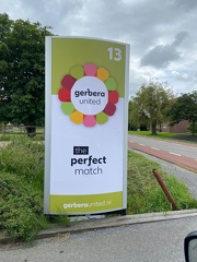 Gerberakwekerij EV (1)